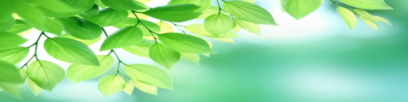 �s���A�Z�����e�I�C�����T�C�g